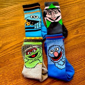 Unisex Adult Size Large Sesame Street Bombas Socks